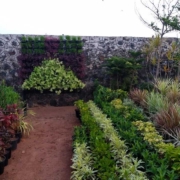 Nursery Garden Near Me