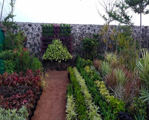 Nursery Garden Near Me